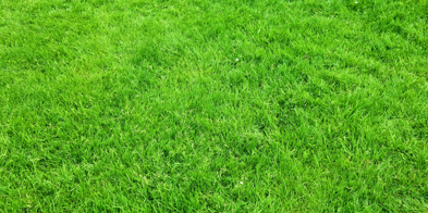 Design Uten Navn (4)