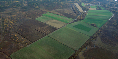 Nordheim gard ved russegrensa. Flyfoto av store sletter med gress og trær. I bakgrunnen ligger Pasvikelva og grensen til Russland. - Foto: Ola Johansen