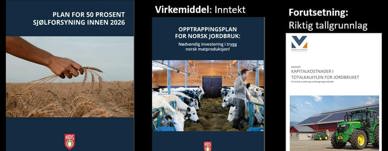 Mål: Økt selvforsyning. Virkemiddel: Inntekt. Forutsetning: Riktig tallgrunnlag