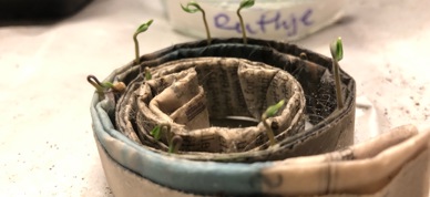 5A392CDD E9DF 4C23 AA59 13BBBD6D88C0