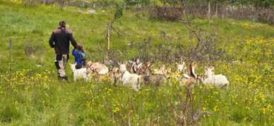 476495020 668098315741986 2131171870380867701 N - Foto: Ystelyst  -Eric og Flora Nine