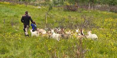 476495020 668098315741986 2131171870380867701 N - Foto: Ystelyst  -Eric og Flora Nine