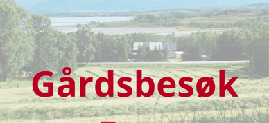Gårdsbesøk