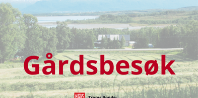 Gårdsbesøk