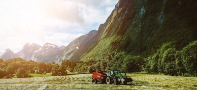 Bruno Van Der Kraan Cormdvvx9b8 Unsplash