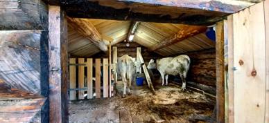 323541259 546551297402452 6500456401406240627 N