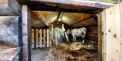 323541259 546551297402452 6500456401406240627 N