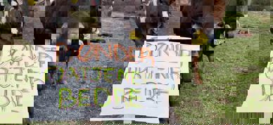 Foto Eli Kristin Aalbu Sæther 15 Mai