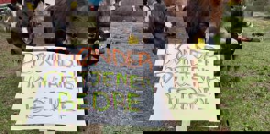 Foto Eli Kristin Aalbu Sæther 15 Mai