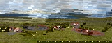 110142985 10221325378099005 9026982067206754586 N