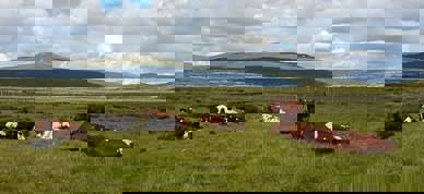 110142985 10221325378099005 9026982067206754586 N