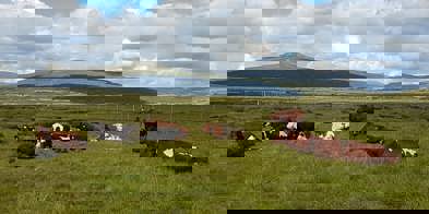 110142985 10221325378099005 9026982067206754586 N