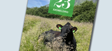 Årsmelding Småbrukarlaget