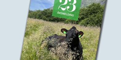 Årsmelding Småbrukarlaget