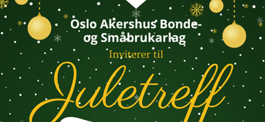 Juletreff 2024