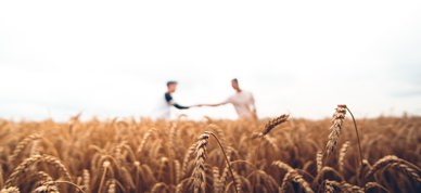 Warren Wong J33qmcvr02a Unsplash