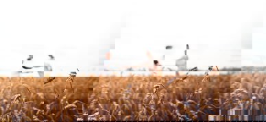 Warren Wong J33qmcvr02a Unsplash