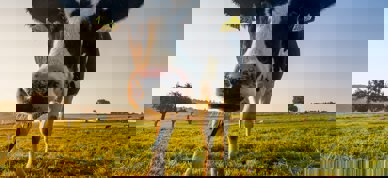 Jan Huber Soszl7iux I Unsplash