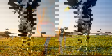 Jan Huber Soszl7iux I Unsplash