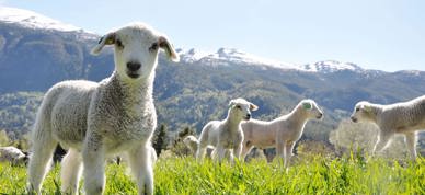 323629063 5844921092252939 4482973538233821662 N