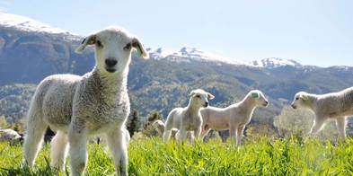 323629063 5844921092252939 4482973538233821662 N