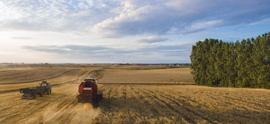 Traktor på jorde - Foto: Atlas Cadrow/Unsplash