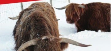 Siden Istiden Bilde, Beskåret