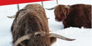 Siden Istiden Bilde, Beskåret