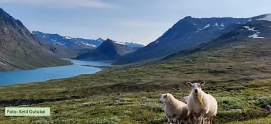 Konferansebilde Til Forsida Nettside Ketil