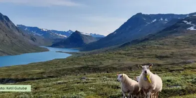 Konferansebilde Til Forsida Nettside Ketil