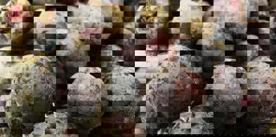 Rødbeter - Foto: Daniel Dan/Pexels