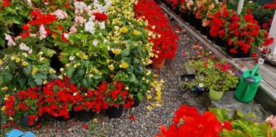 Image0000001