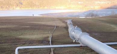 436624993 437330772354303 7918107769504149270 N