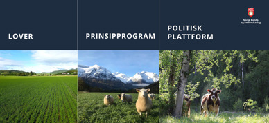 Bilde Til Nettside 2