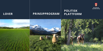 Bilde Til Nettside 2