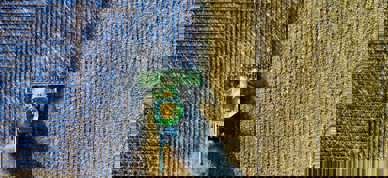 Pexels Tom Fisk 1595108