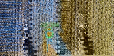 Pexels Tom Fisk 1595108