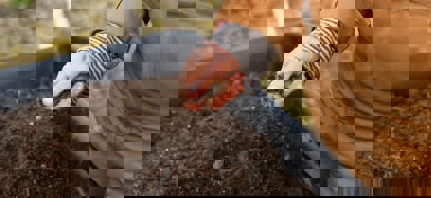 Jord Foto: Zoe Schaeffer/Unsplash - Foto: Zoe Schaeffer/Unsplash