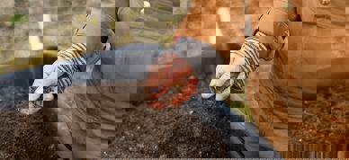 Jord Foto: Zoe Schaeffer/Unsplash - Foto: Zoe Schaeffer/Unsplash