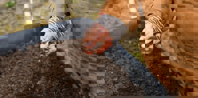 Jord Foto: Zoe Schaeffer/Unsplash - Foto: Zoe Schaeffer/Unsplash