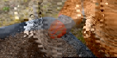 Jord Foto: Zoe Schaeffer/Unsplash - Foto: Zoe Schaeffer/Unsplash