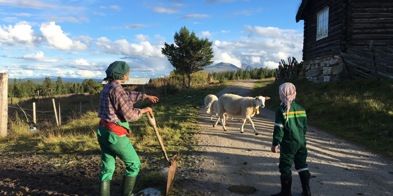 Kvinner Landbruk Foto Villde Haarsaker