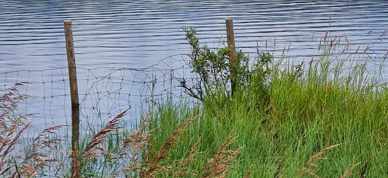 377150296 1079409236770038 1458232807928831817 N