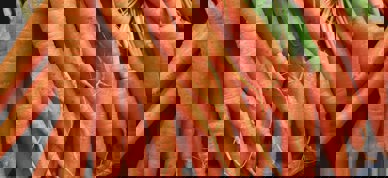 Gulrøtter - Foto: Harshal S Hirve/Unsplash