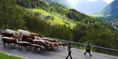 Teig Flatdal, Telemark - Foto: Kathrine Kinn