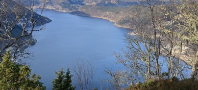 Førdefjorden