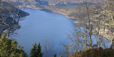 Førdefjorden