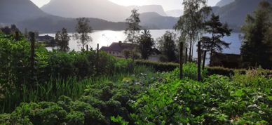 Kusslia Gård Bønner Oversiktt