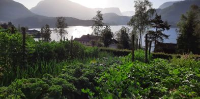 Kusslia Gård Bønner Oversiktt