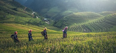 Småbruk kvinner i landskap internasjonalt - Foto: Pixabay/Pexels